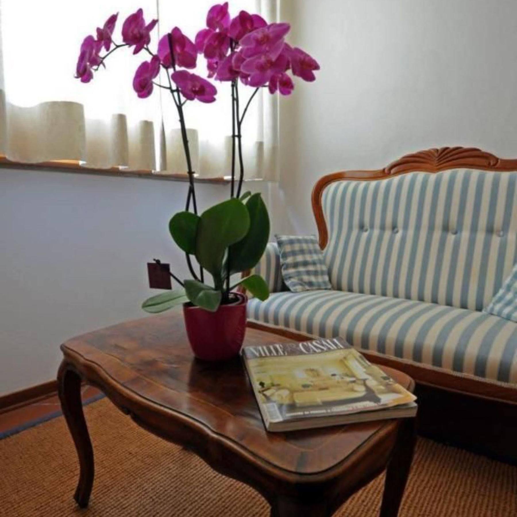 Bed and Breakfast La Piazzetta Греве-ин-Кьянти Экстерьер фото